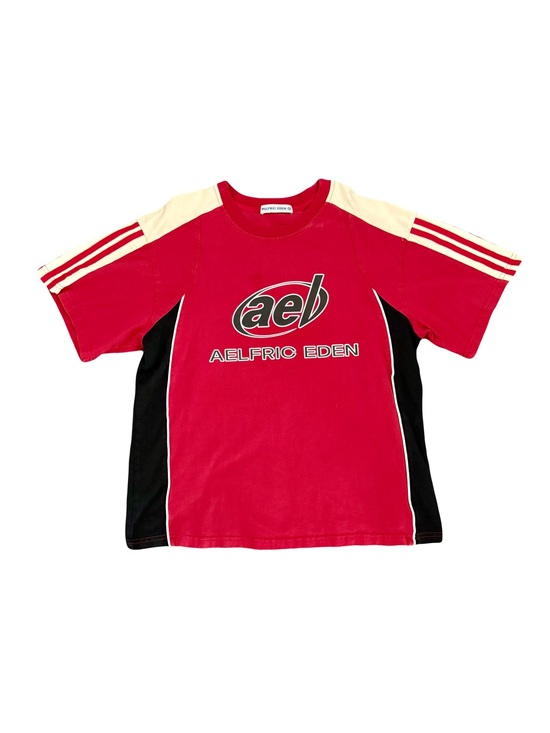 Aelfric Eden Tops - NWOT AELFRIC EDEN COLOR BLOCK SPEEDWAY TEE // SIZE XS ♥️